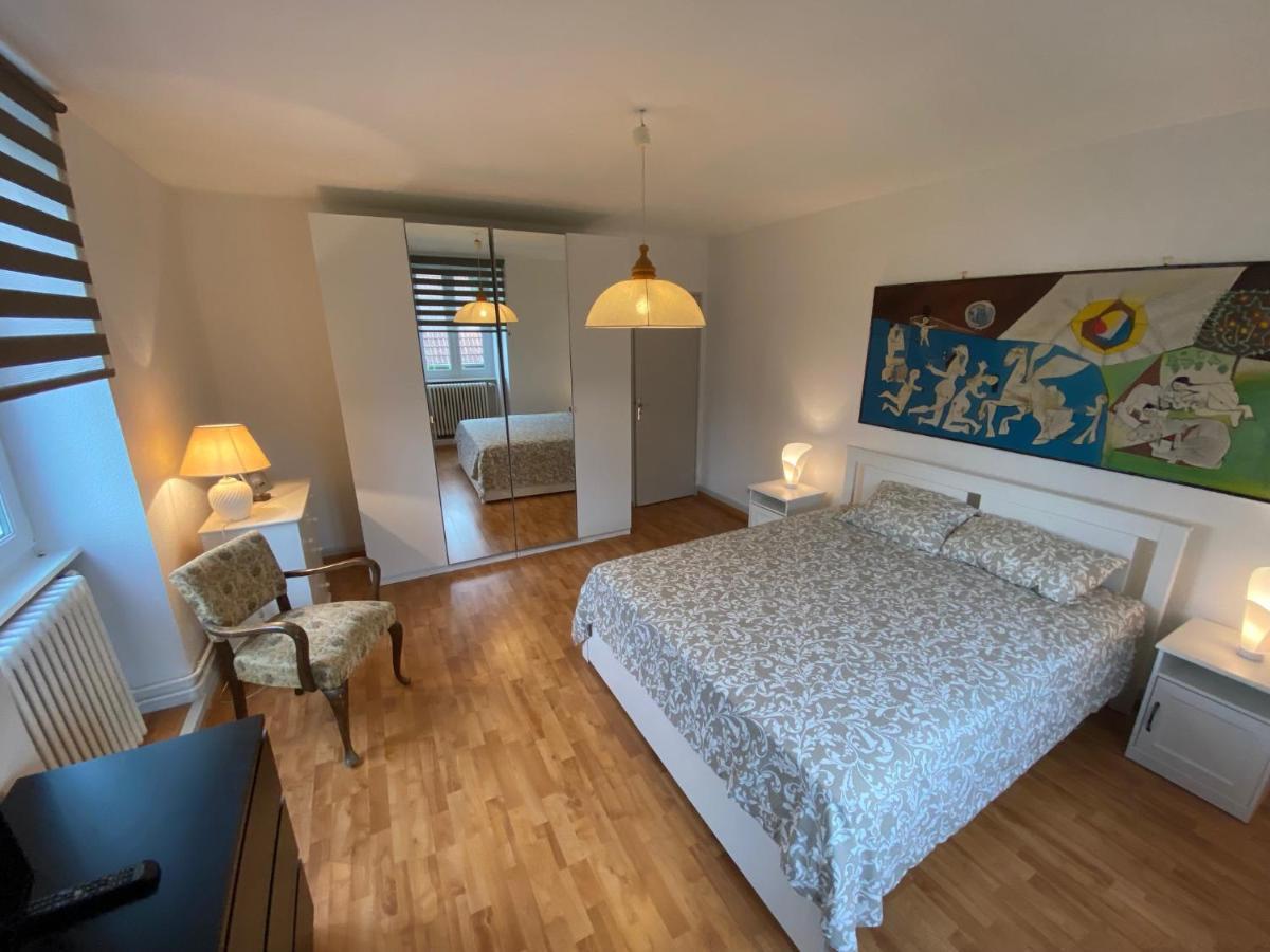 Magnifique villa à 5 minutes de Colmar Horbourg-Wihr Extérieur photo