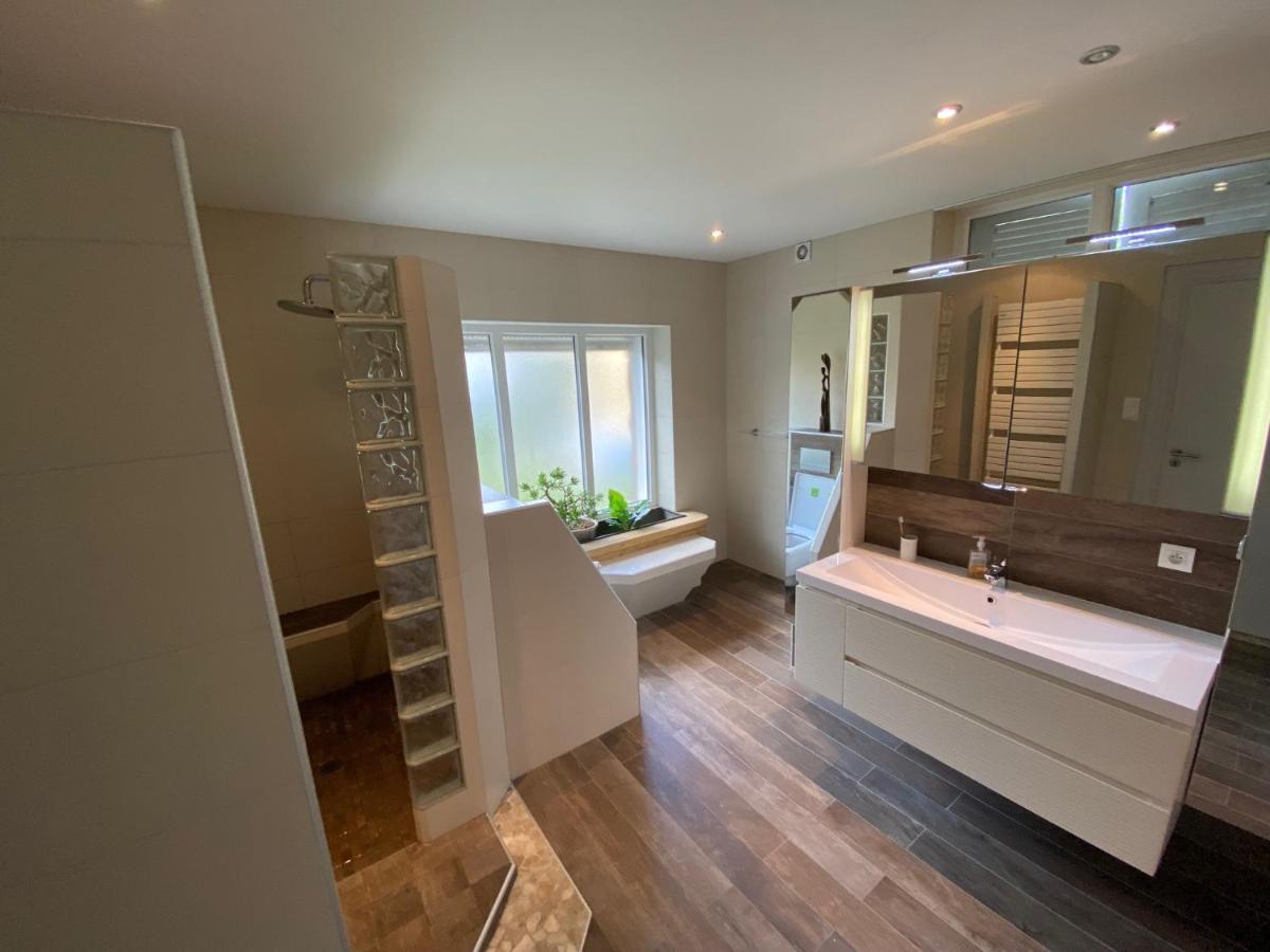 Magnifique villa à 5 minutes de Colmar Horbourg-Wihr Extérieur photo